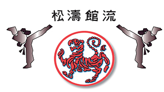 Shotokan Ryu Cavasport Logo